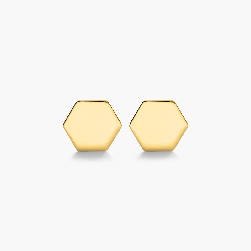 14K Yellow Gold Polished Hexagon Stud Earrings