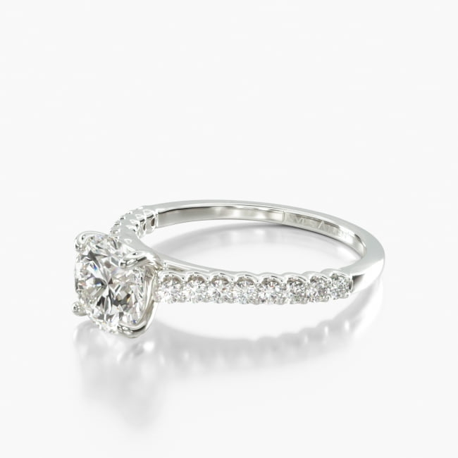 This dazzling engagement ring features a row of diamonds leading up to a fabulous cathedral shank to elevate your center stone, this ring has the perfect amount of sparkle.